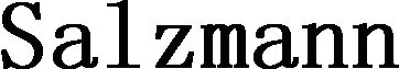 Salzmann Brand Logo