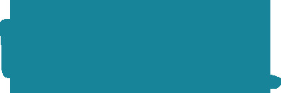 WISEFIN Brand Logo