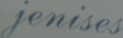 Jenises Brand Logo