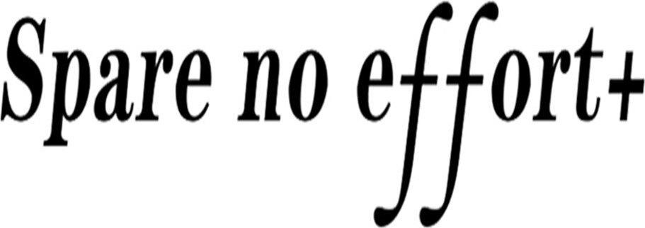 Spare no effort+ Brand Logo