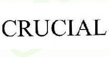 CRUCIAL Brand Logo