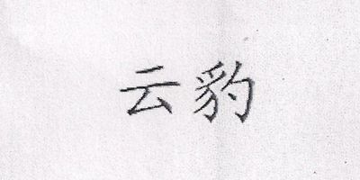 YUNBAO Brand Logo