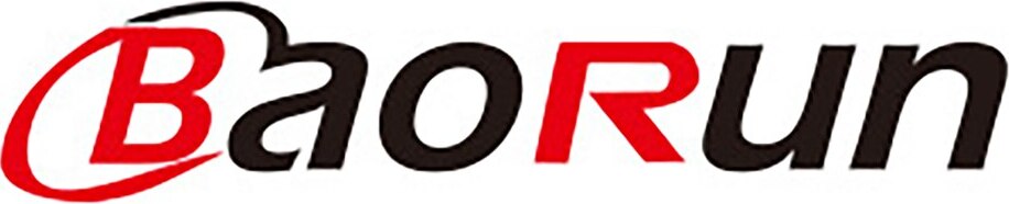 BaoRun Brand Logo