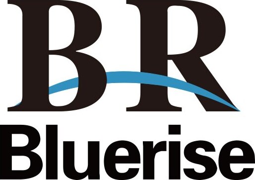 BR Bluerise Brand Logo