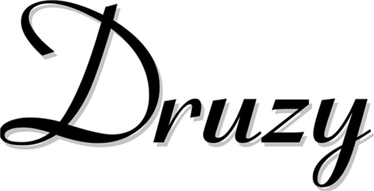 Druzy Brand Logo