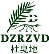 DZRZVD Brand Logo