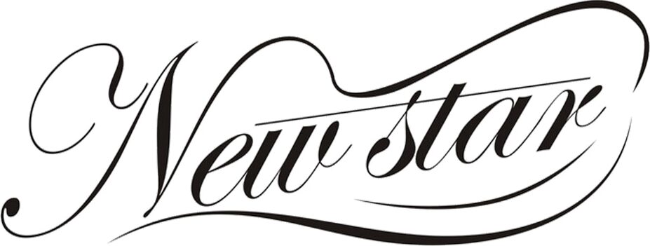 NEW STAR Brand Logo