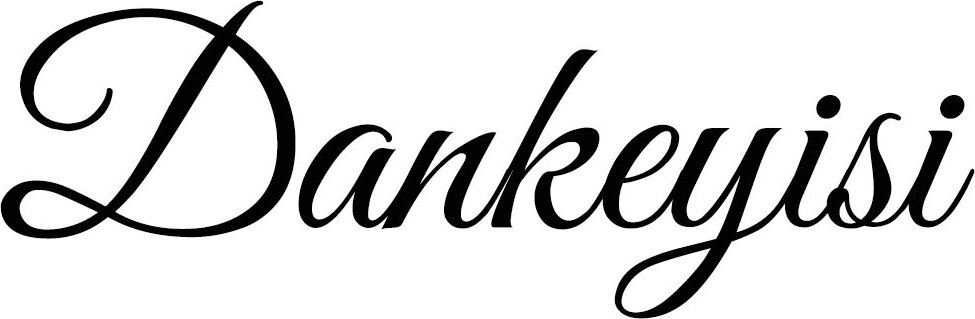 DANKEYISI Brand Logo