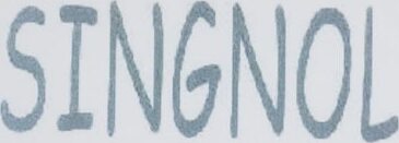 SINGNOL Brand Logo