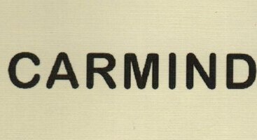 Carmind Brand Logo
