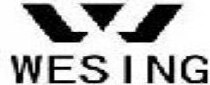 Wesing Brand Logo