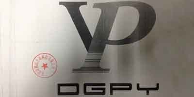 YP DGPY Brand Logo
