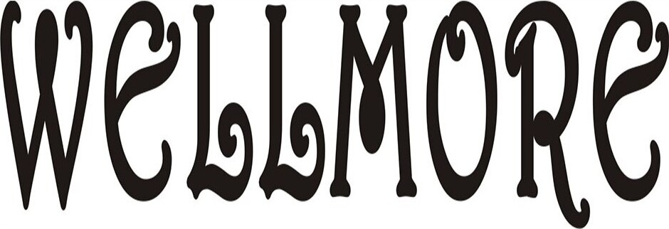 Wellmore Brand Logo