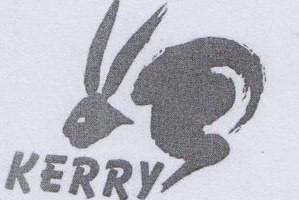 KERRY China At AliExpress