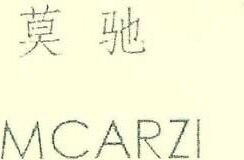 MCARZI Brand Logo