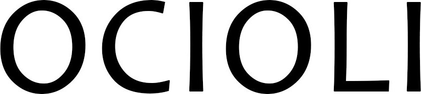 FNIRSI Brand Logo
