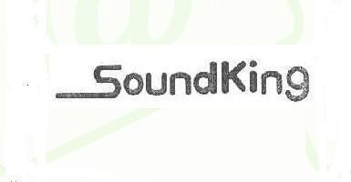 Soundking China At AliExpress