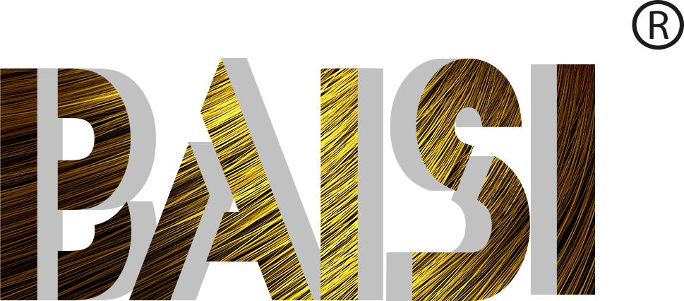 Baisi Brand Logo