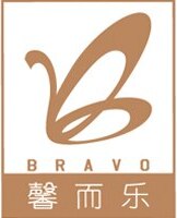 Bravo Brand Logo