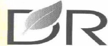 DR Brand Logo