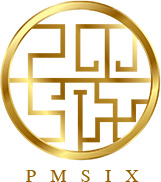 Pmsix Brand Logo
