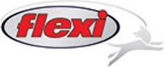FLEXI Brand Logo