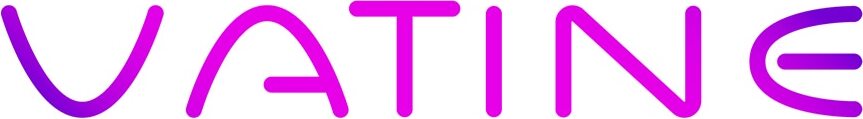 VATINE Brand Logo