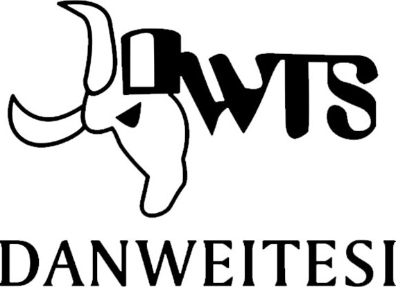 DWTS Brand Logo