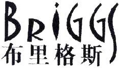 Briggs Brand Logo
