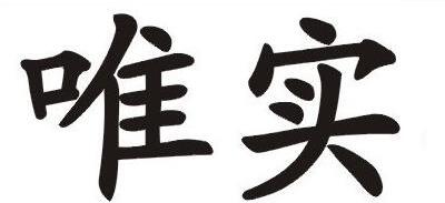 VSDIGITAL Brand Logo
