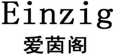 Einzig Brand Logo
