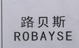 ROBAYSE Brand Logo