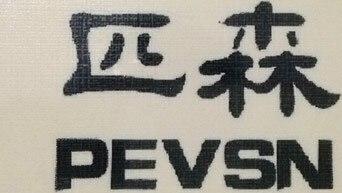 PEVSN Brand Logo