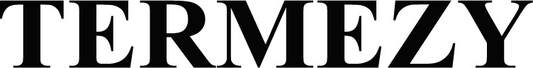 TERMEZY Brand Logo