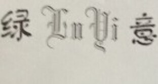 LVYI Brand Logo