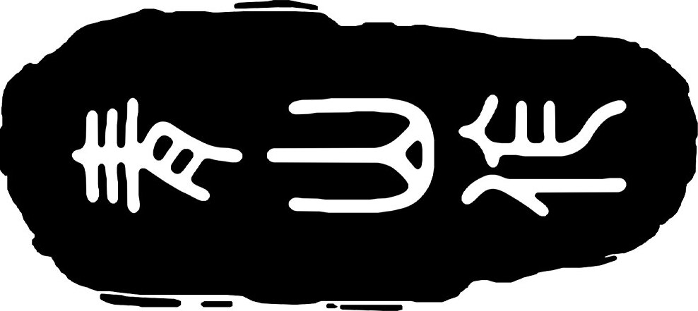 Qing Brand Logo