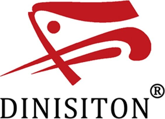 DINISITON Brand Logo