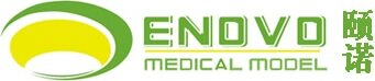 ENOVO Brand Logo