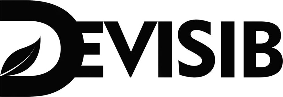 DEVISIB Brand Logo
