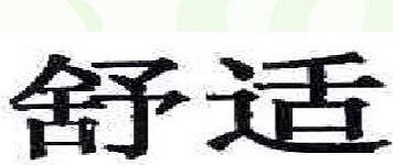 Schick Brand Logo