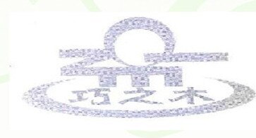 QZM Brand Logo