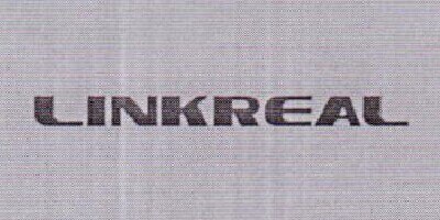 LINKREAL Brand Logo