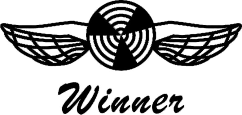 T-WINNER Brand Logo