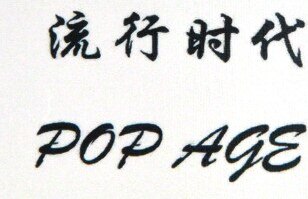 Pop Age Brand Logo